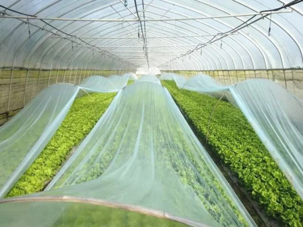 Green future of nonwoven textiles